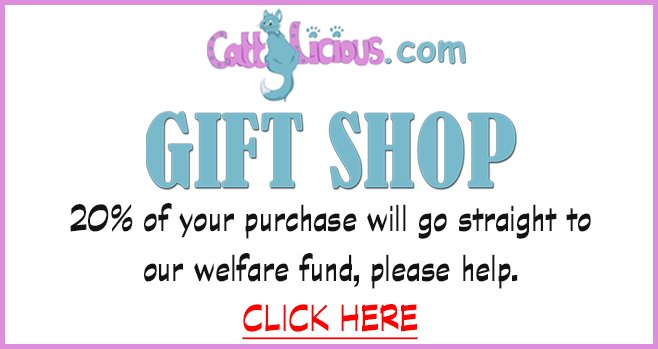Oriental Cat Association